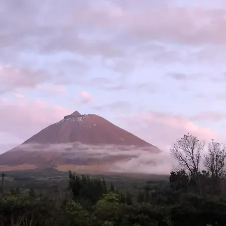 Ferreiro Do Cabeço House Casa de Férias